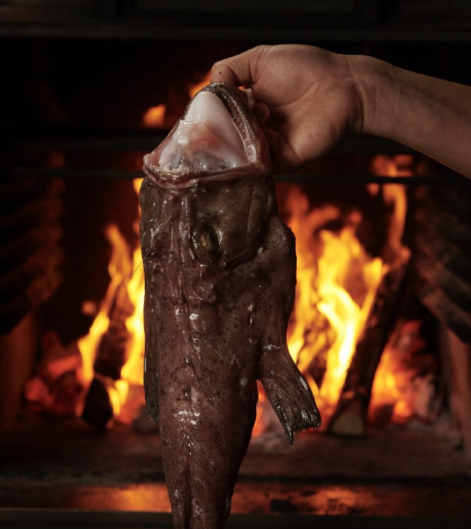 Fotografía y vídeo especializado